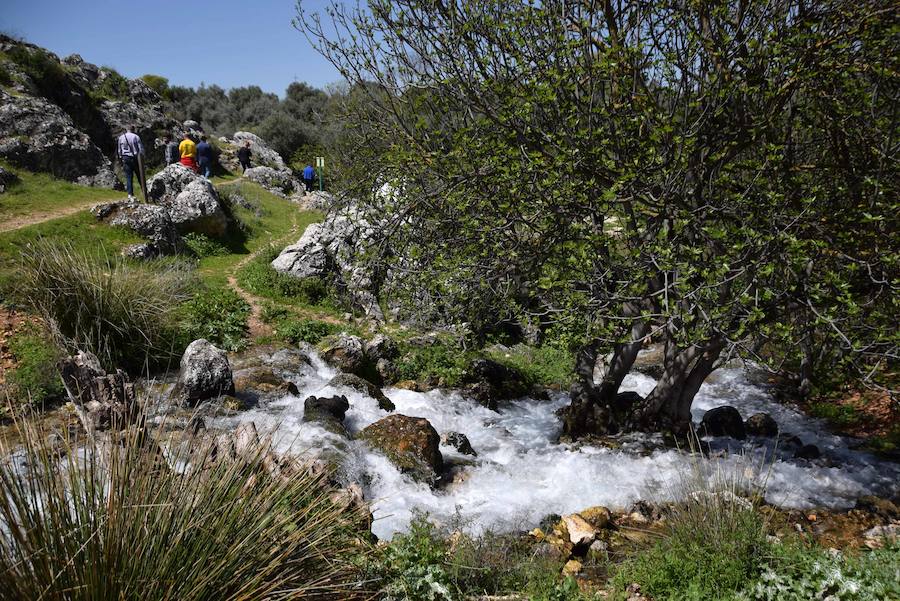 Las espectaculares imágenes del nacimiento de Riofrío, próximo monumento natural
