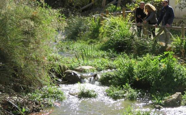 La trucha arcoíris podrá regresar a Riofrío tras la reforma legal aprobada por el congreso