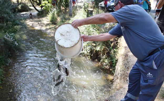 Cientos de personas festejan en Riofrío el regreso de la trucha