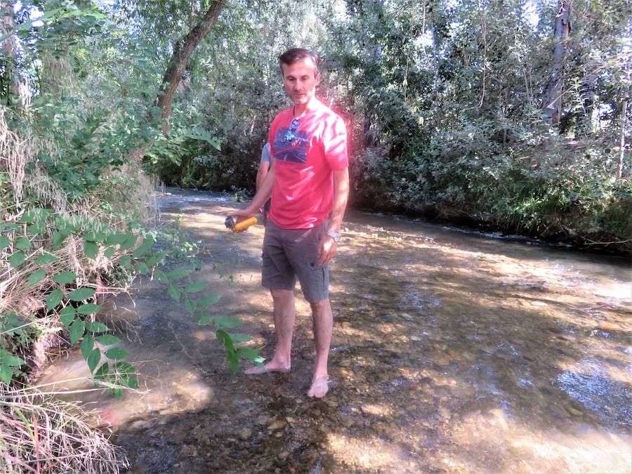 La trucha arcoíris vuelve a casa