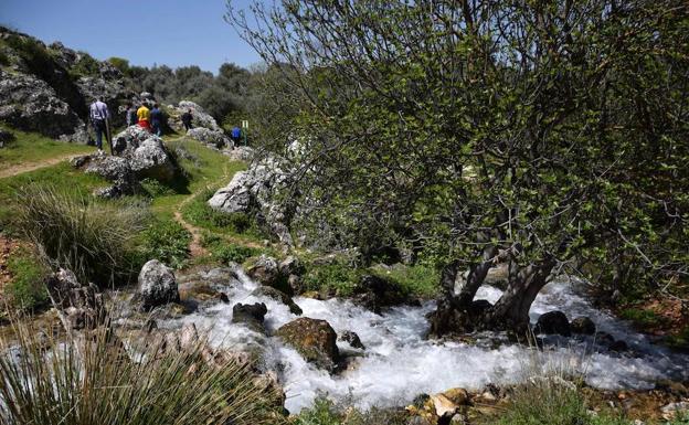 La Junta ultima la declaración del Monumento Natural del Nacimiento de Riofrío