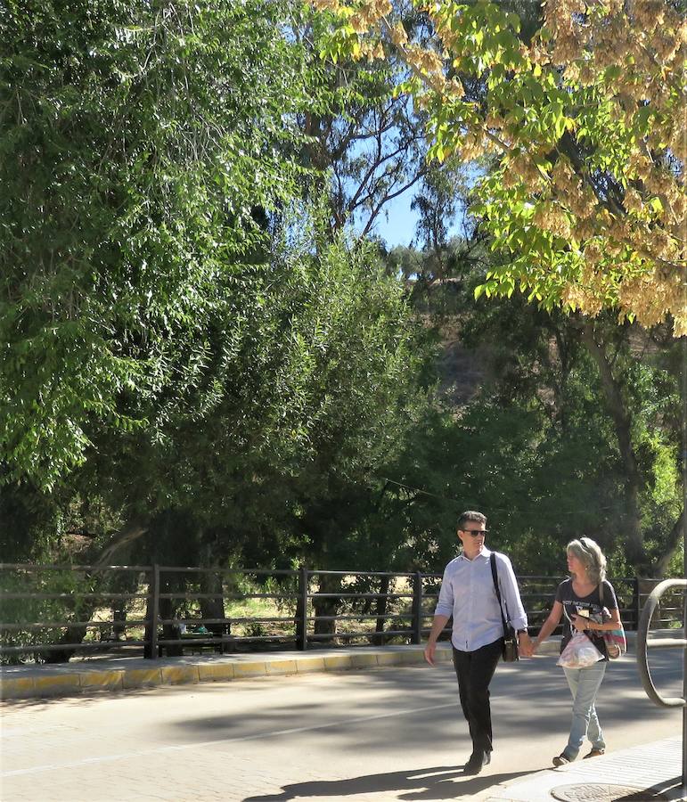 Así está Riofrío después de la riada