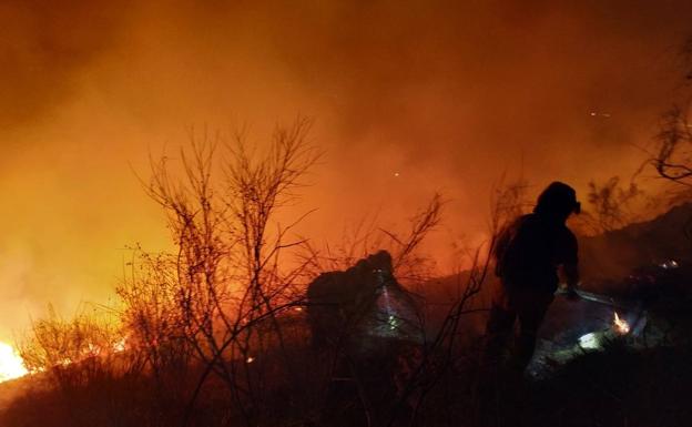 Bomberos de Loja y Lucena e Infoca pasan la noche sofocando un incendio de 10 hectáreas en Balerma