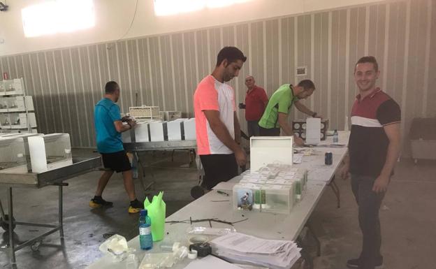 Montefrío acoge uno de los concursos de agapornis más importantes del mundo