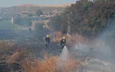 Arden 3 hectáreas de vega cerca de viviendas en Salar