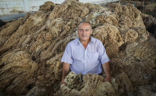 Los ganaderos de Loja acumulan más de 100 toneladas de lana sin vender
