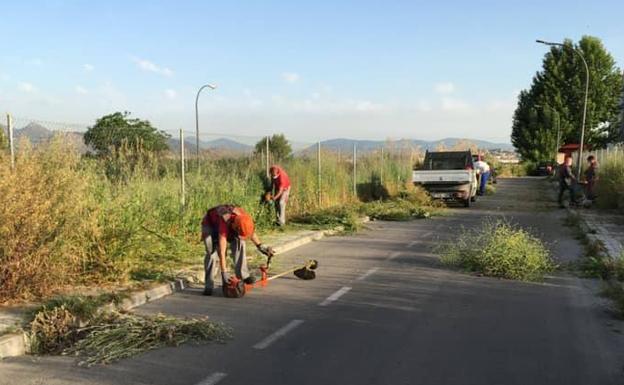 El Ayuntamiento realiza trabajos de jardinería y prepara los espacios públicos
