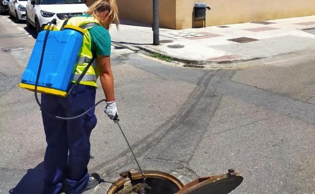 Fumigación y limpieza para el control de plagas en las calles de Maracena