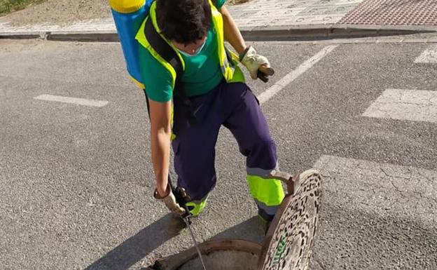 Maracena prosigue con los trabajos de control de plagas