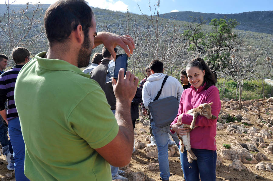 Escuela andaluza de pastores en Loja