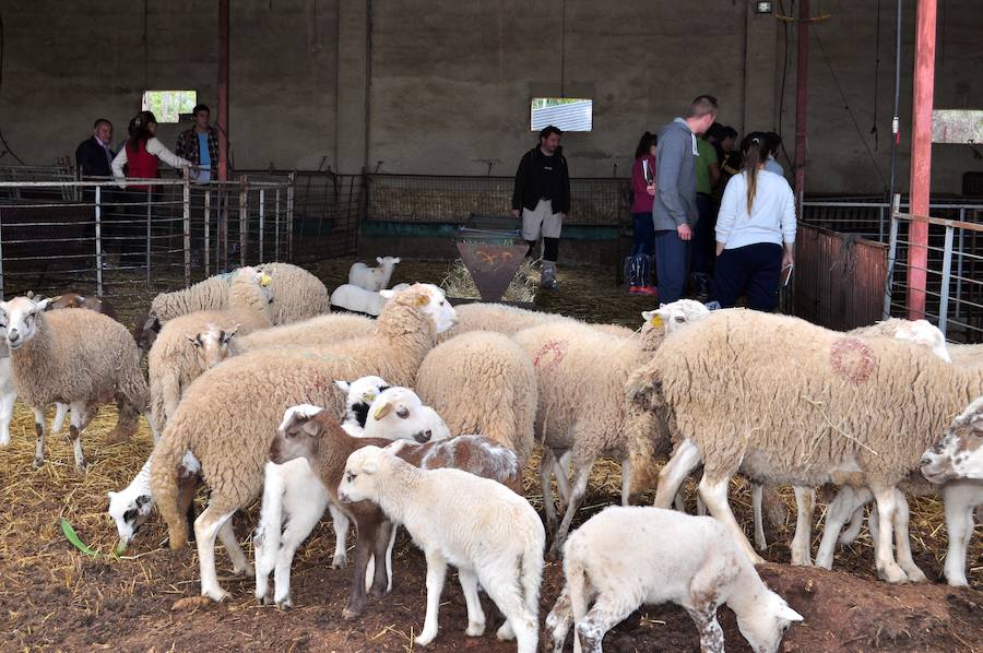Escuela andaluza de pastores en Loja