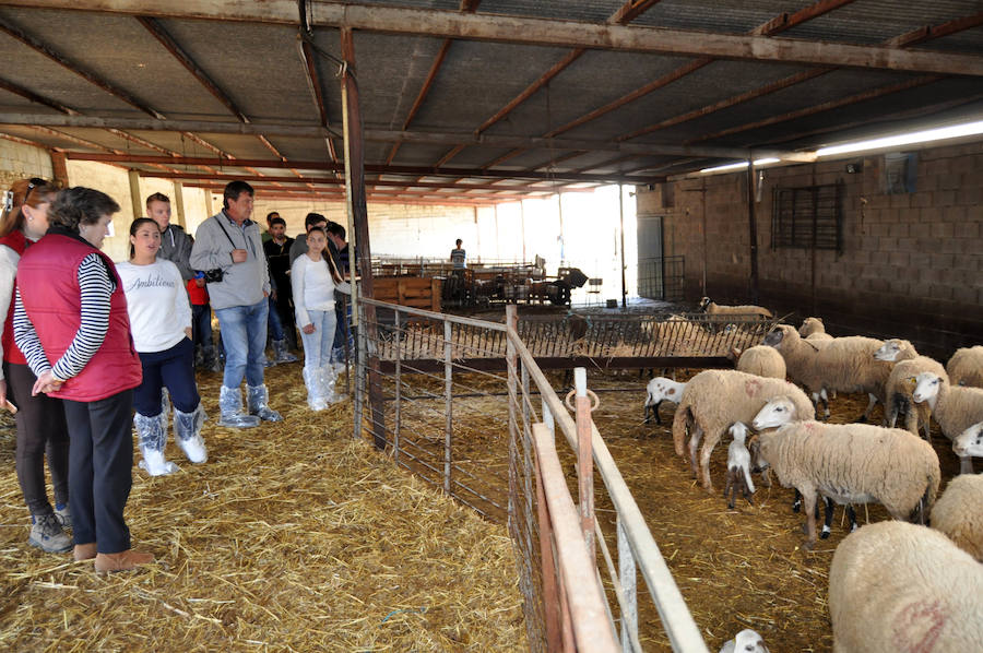 Escuela andaluza de pastores en Loja