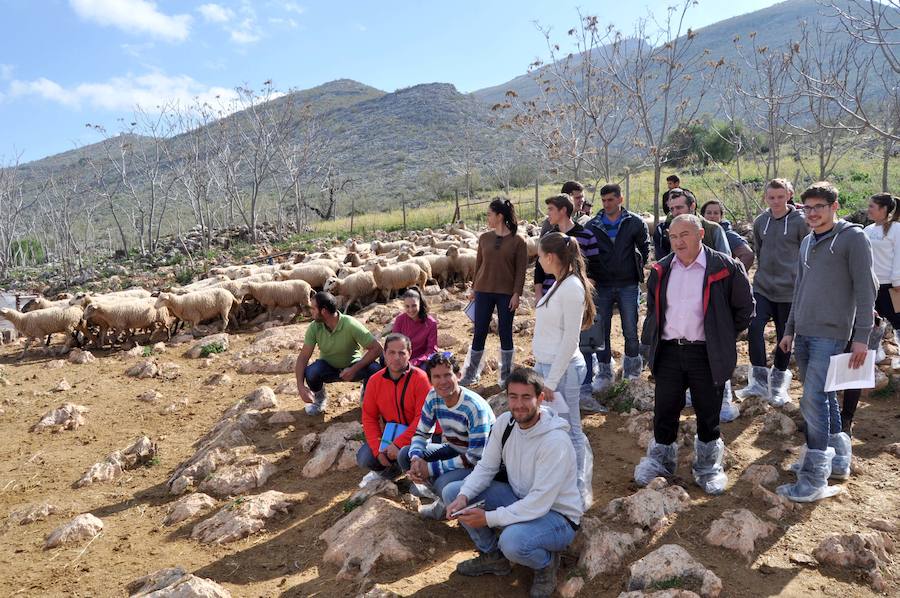 Escuela andaluza de pastores en Loja