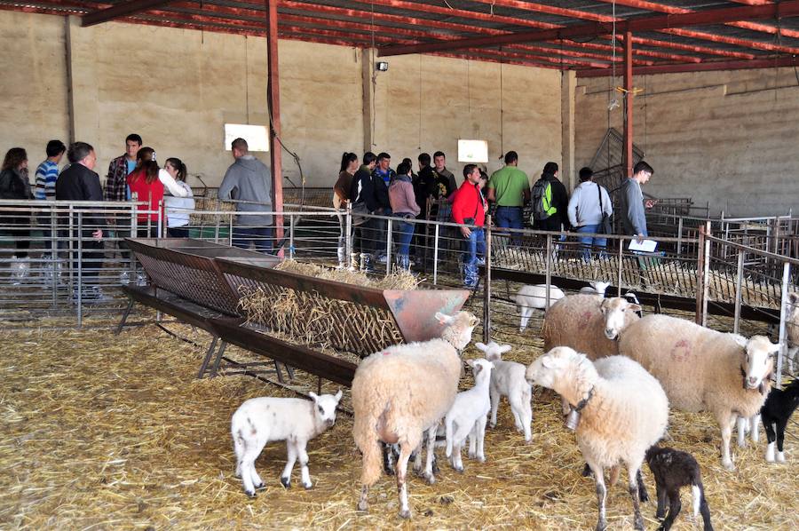 Escuela andaluza de pastores en Loja