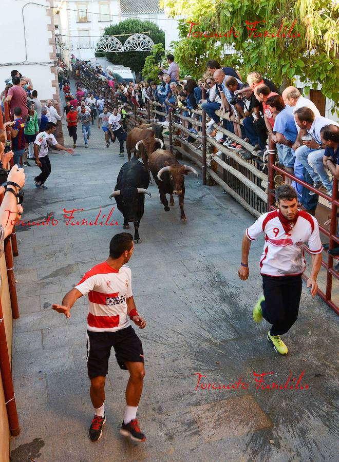 Gor celebra sus encierros en honor a San Cayetano