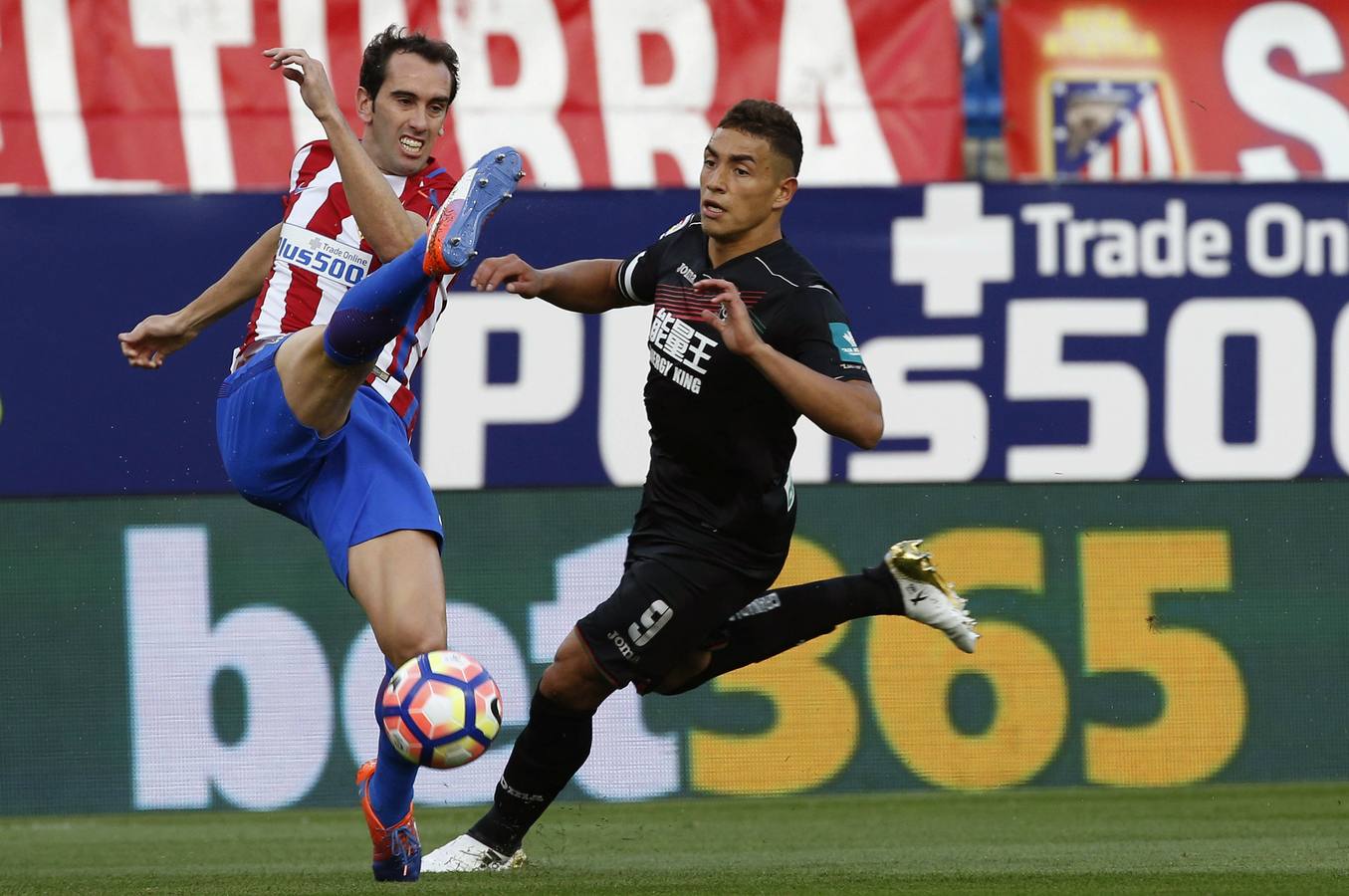 Todas las fotos del Atlético de Madrid-Granada