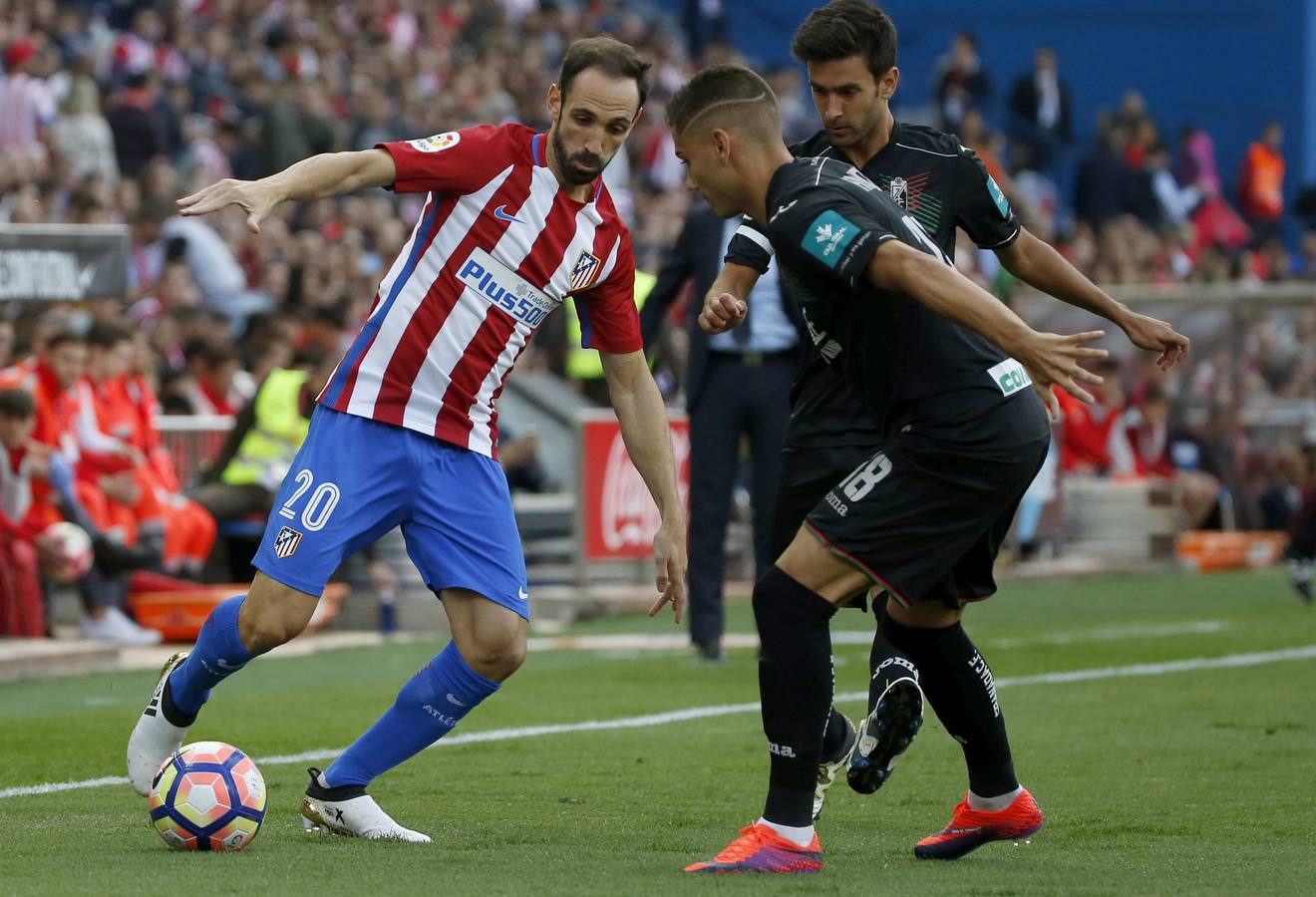 Todas las fotos del Atlético de Madrid-Granada