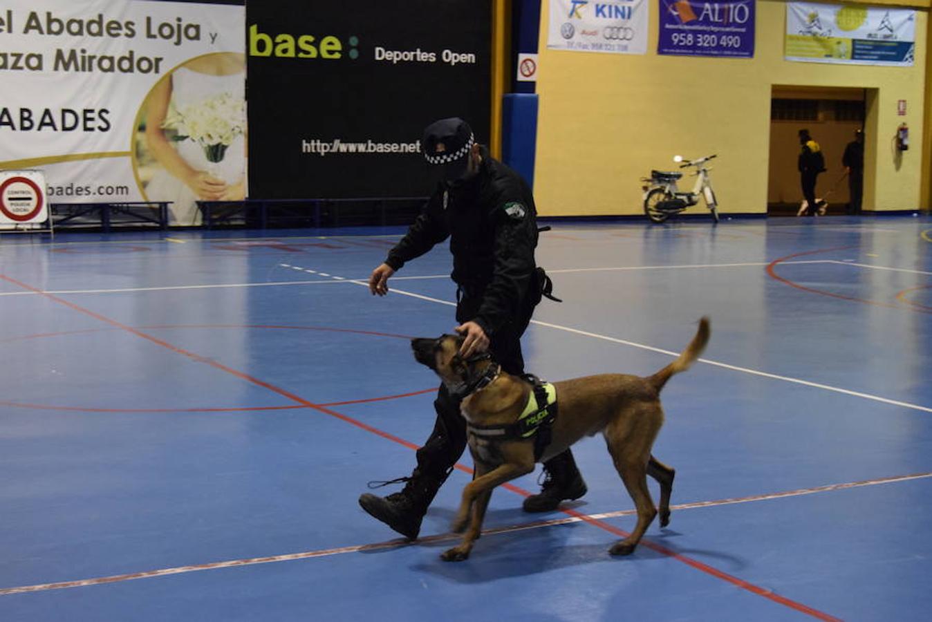 Perro y policía: el equipo perfecto
