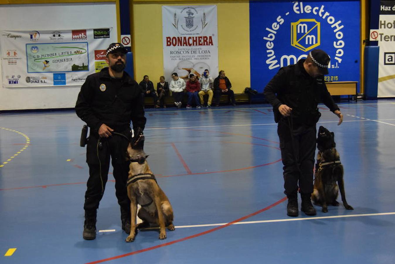 Perro y policía: el equipo perfecto