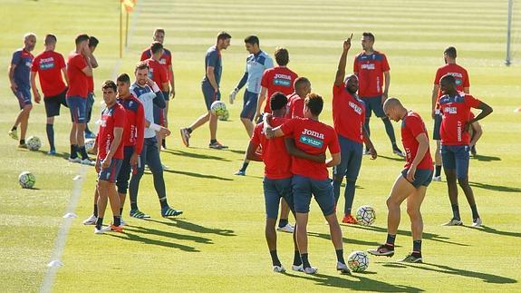 Success sigue sin incorporarse al grupo