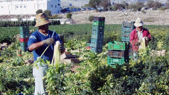 Zafarraya, el pueblo con menor renta media de España