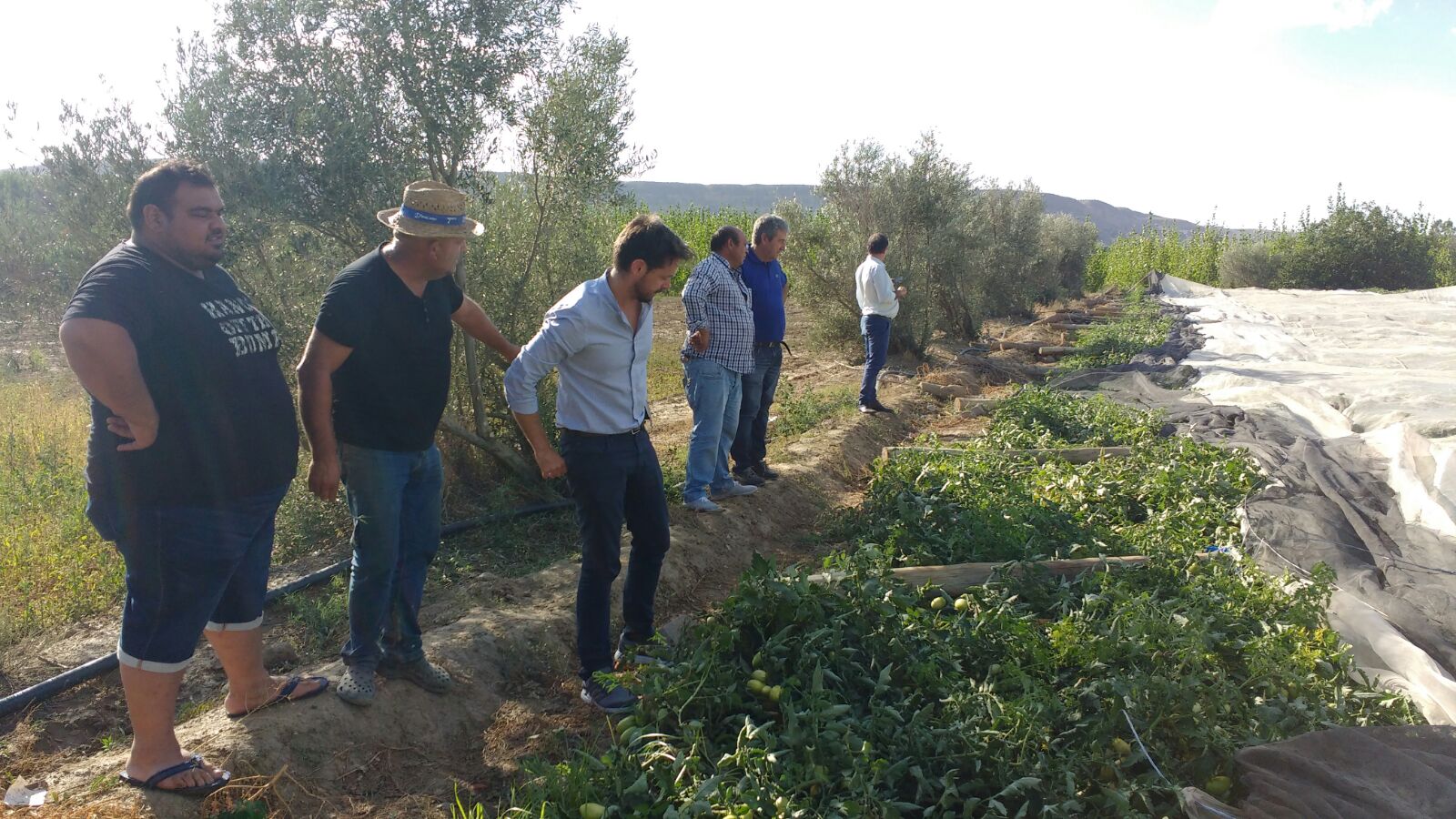 La Junta apoya la declaración de zona de emergencia del área dañada por el granizo