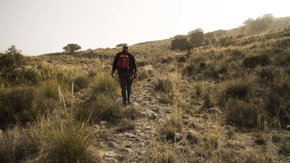Descubren dos kilómetros de la calzada romana que pasaba por Acci