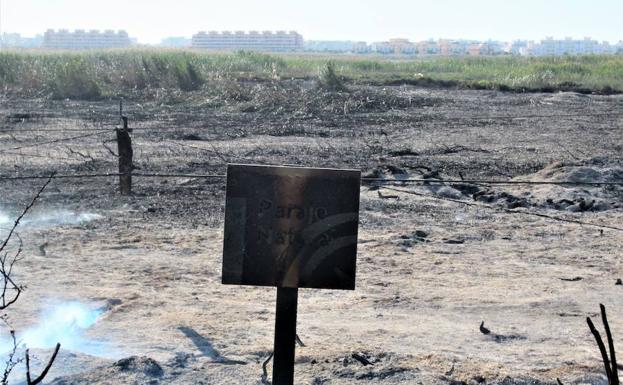 IU reclama un Plan de Emergencias por Incendios Forestales