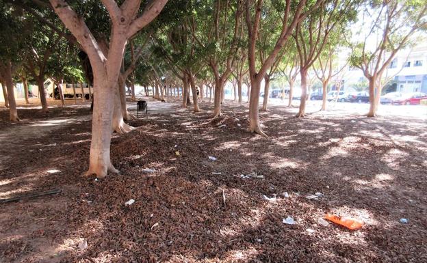 IU reclama la remodelación de la arboleda de la plaza Veracruz de La Urbanización