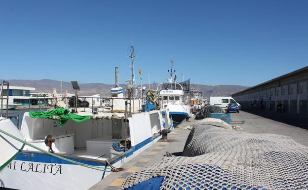 Todos los grupos municipales piden más cuotas para pesca artesanal del atún rojo