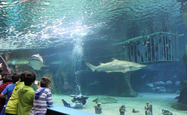 Senator Hotels compra la mayor parte de la propiedad del Aquarium de Roquetas