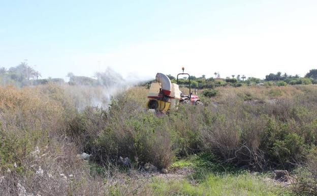 El Ayuntamiento refuerza la lucha contra los mosquitos con un servicio externo