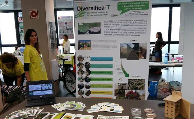 Un proyecto de investigación sobre biocontrol en invernaderos de la Junta, premiado por su capacidad divulgadora