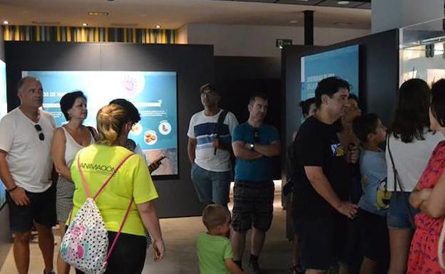 Los escolares confirman el éxito del Aula del Mar, que llegará a las 15.000 visitas este año