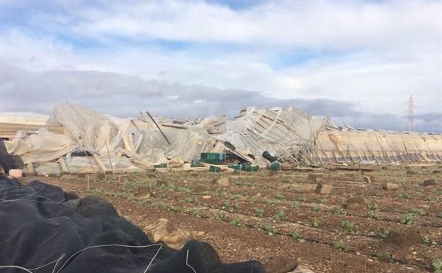 El Ayuntamiento de La Mojonera cifra en 10 millones de euros los daños en 40 hectáreas de invernadero