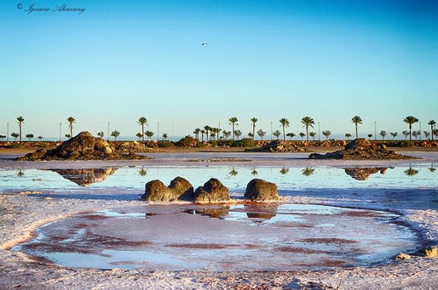 Acuíferos Vivos alerta de que «no hay agua» para abastecer el proyecto de Las Salinas de Roquetas