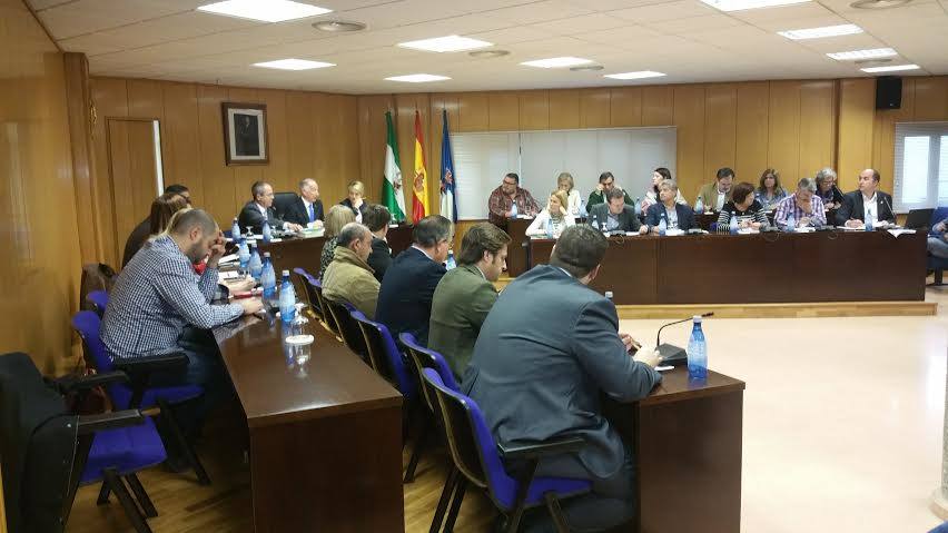 El PP, Cs y la no adscrita sacan adelantela propuesta de convenio del HARE