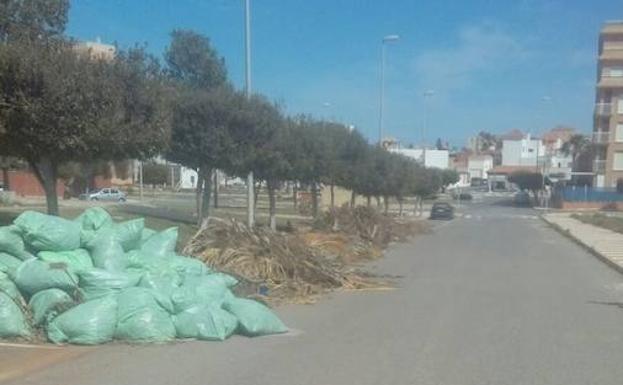 UPYD denuncia la acumulación de restos de poda en la calle Atocha