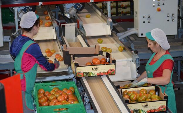 El PSOE pide al Pleno que exija al Gobierno resolver el «disparate» de los fallos del SEPE en las prestaciones del manipulado