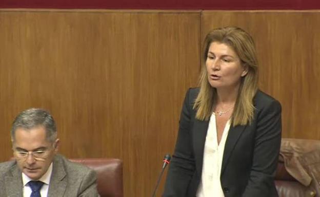 La difusión de Las Salinas por el Museo de Almería llega al Parlamento andaluz