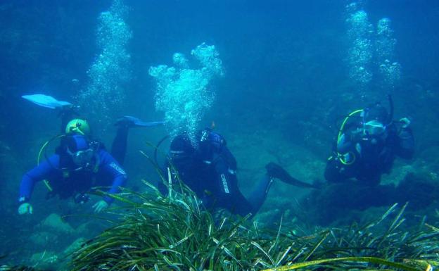 Buscan impulsar los deportes náuticos como atractivo turístico con un proyecto europeo