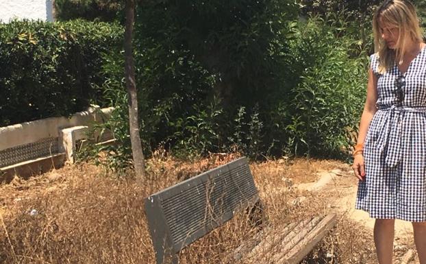 Ciudadanos alerta del daño a la imagen turística por los problemas de este verano