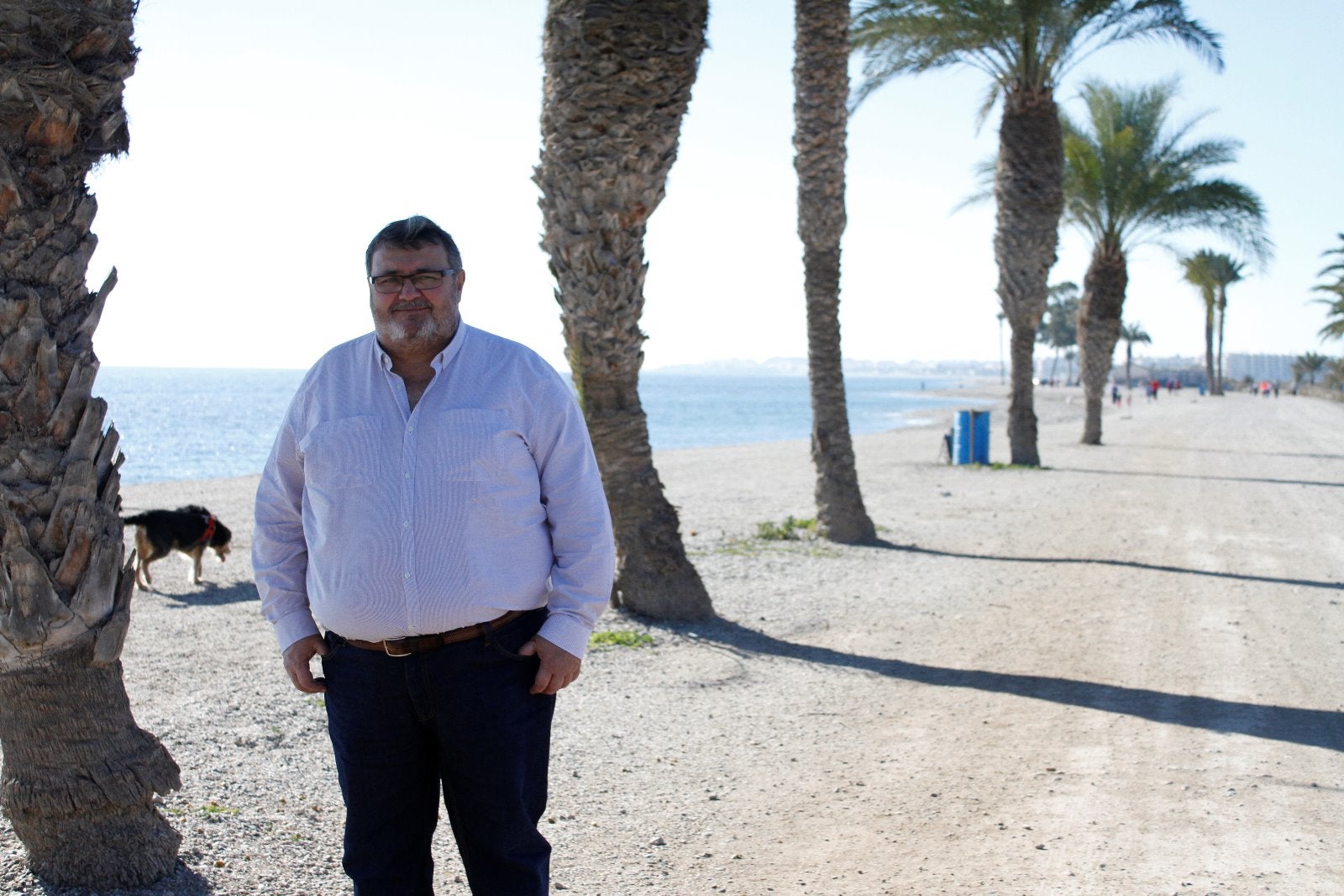 El PSOE culpa del problema de los mosquitos a la «desidia» y el «desgobierno» del Ayuntamiento