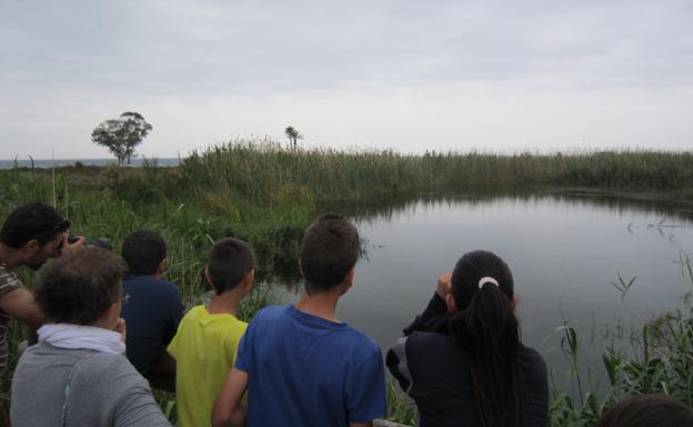El Defensor del Pueblo recomienda evaluar el impacto de la urbanización de Las Salinas sobre la Algaida