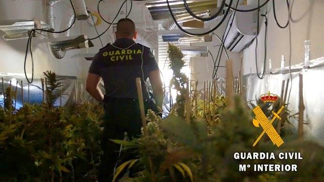 Por el olor, descubren una plantación de marihuana 'indoor' en Roquetas de Mar
