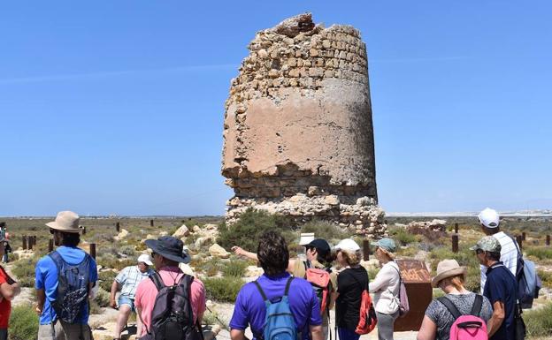 IU se felicita porque se aplique una moción que presentó en 2011 para salvar la Torre de Cerrillos