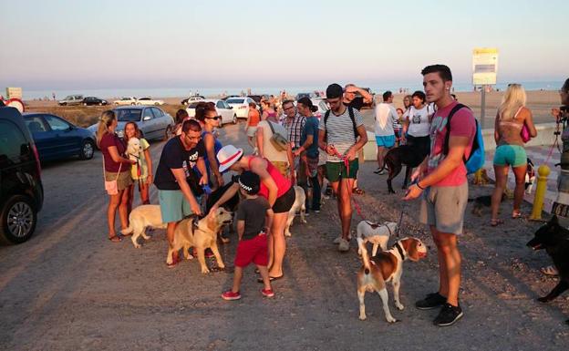 Ciudadanos reclama partidas para empezar a acondicionar espacios de ocio para mascotas