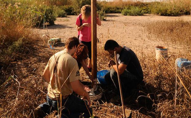 'Libera' apadrina dos proyectos ambientales en la Ribera de la Algaida y Punta Entinas