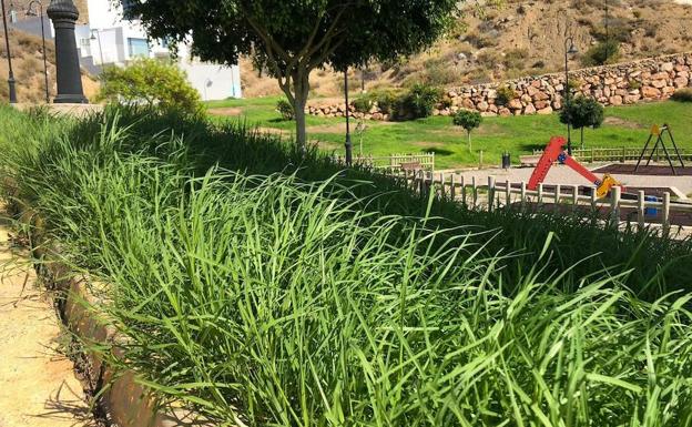 Treinta jardineros más para intentar arreglar el caos del mantenimiento de parques y jardines