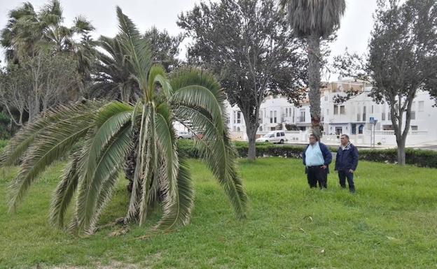 El PSOE denuncia el «absoluto abandono» de los parques de Roquetas de Mar
